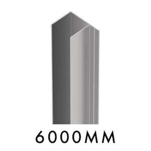 SFS - F Section - M